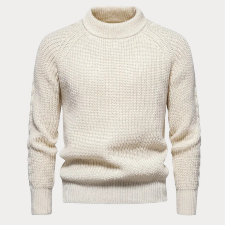 Darold | Herren Rollkragenpullover Strick