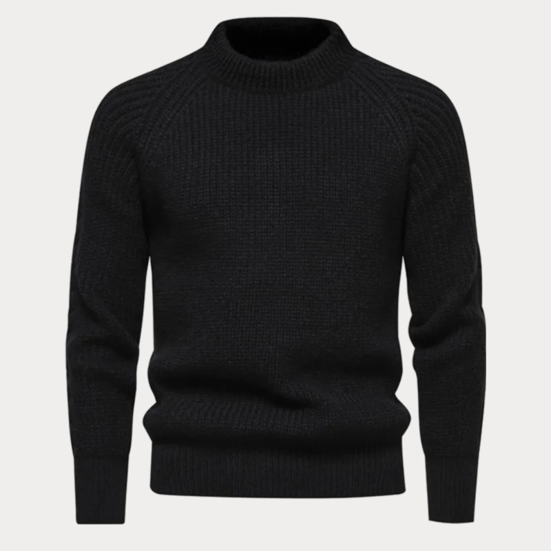 Darold | Herren Rollkragenpullover Strick