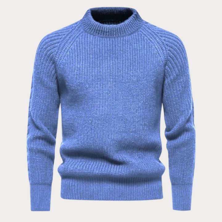Darold | Herren Rollkragenpullover Strick