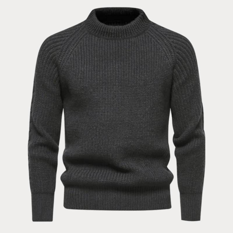 Darold | Herren Rollkragenpullover Strick
