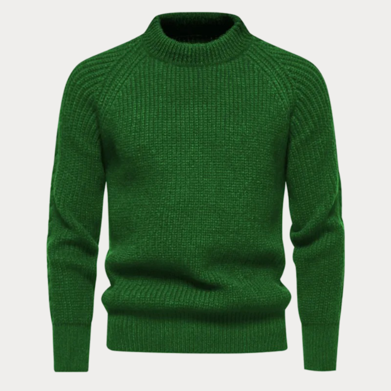 Darold | Herren Rollkragenpullover Strick