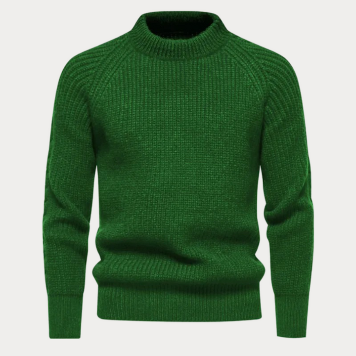 Darold | Herren Rollkragenpullover Strick