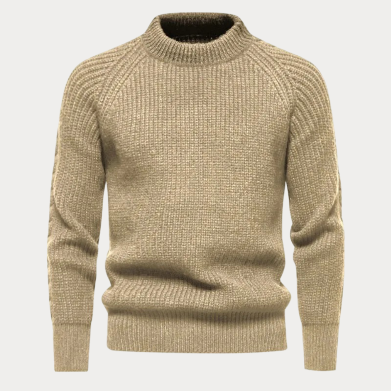 Darold | Herren Rollkragenpullover Strick