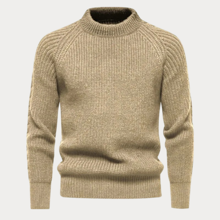 Darold | Herren Rollkragenpullover Strick